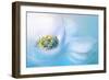 Flow-Jacky Parker-Framed Giclee Print