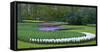 Flowebed Wiht Hyacinths, Keukenhof Gardens, Lisse, Holland-Anna Miller-Framed Stretched Canvas