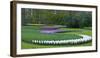 Flowebed Wiht Hyacinths, Keukenhof Gardens, Lisse, Holland-Anna Miller-Framed Photographic Print