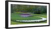 Flowebed Wiht Hyacinths, Keukenhof Gardens, Lisse, Holland-Anna Miller-Framed Photographic Print