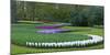 Flowebed Wiht Hyacinths, Keukenhof Gardens, Lisse, Holland-Anna Miller-Mounted Photographic Print