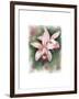 Flower 01-Maria Trad-Framed Giclee Print