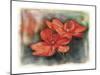 Flower 02-Maria Trad-Mounted Giclee Print