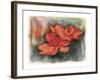 Flower 02-Maria Trad-Framed Giclee Print