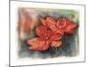 Flower 02-Maria Trad-Mounted Giclee Print