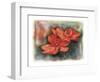 Flower 02-Maria Trad-Framed Giclee Print