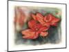 Flower 02-Maria Trad-Mounted Giclee Print