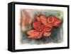 Flower 02-Maria Trad-Framed Stretched Canvas
