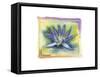 Flower 05-Maria Trad-Framed Stretched Canvas