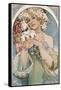 Flower, 1897-Alphonse Mucha-Framed Stretched Canvas