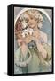 Flower, 1897-Alphonse Mucha-Framed Stretched Canvas