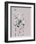 Flower 1-Design Fabrikken-Framed Photographic Print