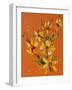 Flower, 2007,-Penny Warden-Framed Giclee Print