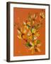 Flower, 2007,-Penny Warden-Framed Giclee Print