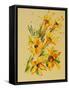 Flower, 2007,-Penny Warden-Framed Stretched Canvas