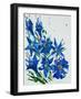 Flower, 2007,-Penny Warden-Framed Giclee Print