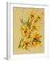 Flower, 2007,-Penny Warden-Framed Giclee Print