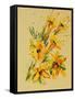 Flower, 2007,-Penny Warden-Framed Stretched Canvas