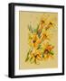 Flower, 2007,-Penny Warden-Framed Giclee Print