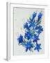 Flower, 2007,-Penny Warden-Framed Giclee Print