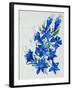 Flower, 2007,-Penny Warden-Framed Giclee Print