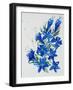 Flower, 2007,-Penny Warden-Framed Giclee Print