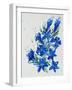 Flower, 2007,-Penny Warden-Framed Giclee Print