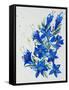 Flower, 2007,-Penny Warden-Framed Stretched Canvas