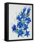 Flower, 2007,-Penny Warden-Framed Stretched Canvas