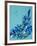 Flower, 2007,-Penny Warden-Framed Giclee Print