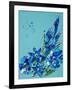 Flower, 2007,-Penny Warden-Framed Giclee Print