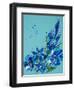 Flower, 2007,-Penny Warden-Framed Giclee Print