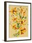 Flower, 2008,-Penny Warden-Framed Giclee Print