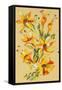 Flower, 2008,-Penny Warden-Framed Stretched Canvas