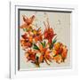 Flower, 2008,-Penny Warden-Framed Giclee Print