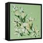 Flower, 2008,-Penny Warden-Framed Stretched Canvas