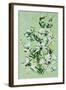 Flower, 2008,-Penny Warden-Framed Giclee Print