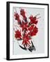 Flower, 2010,-Penny Warden-Framed Giclee Print