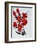 Flower, 2010,-Penny Warden-Framed Giclee Print