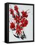 Flower, 2010,-Penny Warden-Framed Stretched Canvas