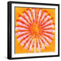 Flower,2015-Alex Caminker-Framed Giclee Print