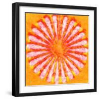 Flower,2015-Alex Caminker-Framed Giclee Print