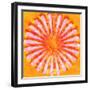 Flower,2015-Alex Caminker-Framed Giclee Print