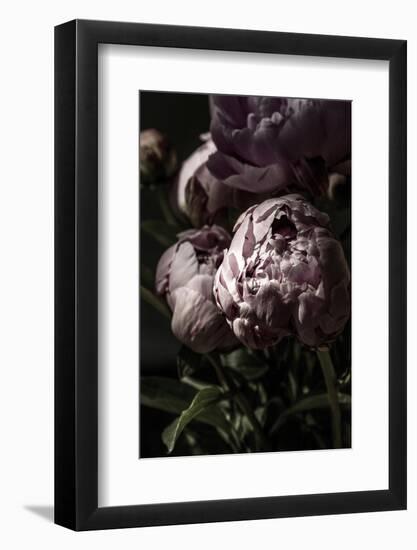 Flower 3-Incado-Framed Photographic Print