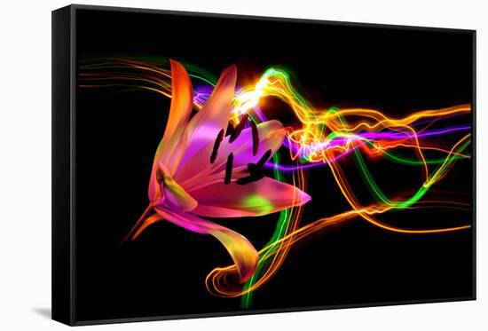 Flower a Lily & Night Neon Lights--Vladimir--Framed Stretched Canvas