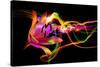 Flower a Lily & Night Neon Lights--Vladimir--Stretched Canvas