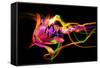 Flower a Lily & Night Neon Lights--Vladimir--Framed Stretched Canvas