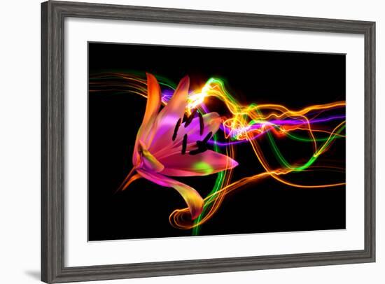 Flower a Lily & Night Neon Lights--Vladimir--Framed Photographic Print