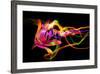 Flower a Lily & Night Neon Lights--Vladimir--Framed Photographic Print
