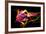 Flower a Lily & Night Neon Lights--Vladimir--Framed Photographic Print